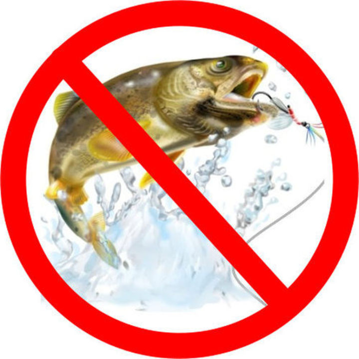 Когда запрещено ловить щуку. Рыбалка запрещена. Ловля рыбы запрещена. Знак запрета ловли рыбы. Ограничение отлова рыбы.