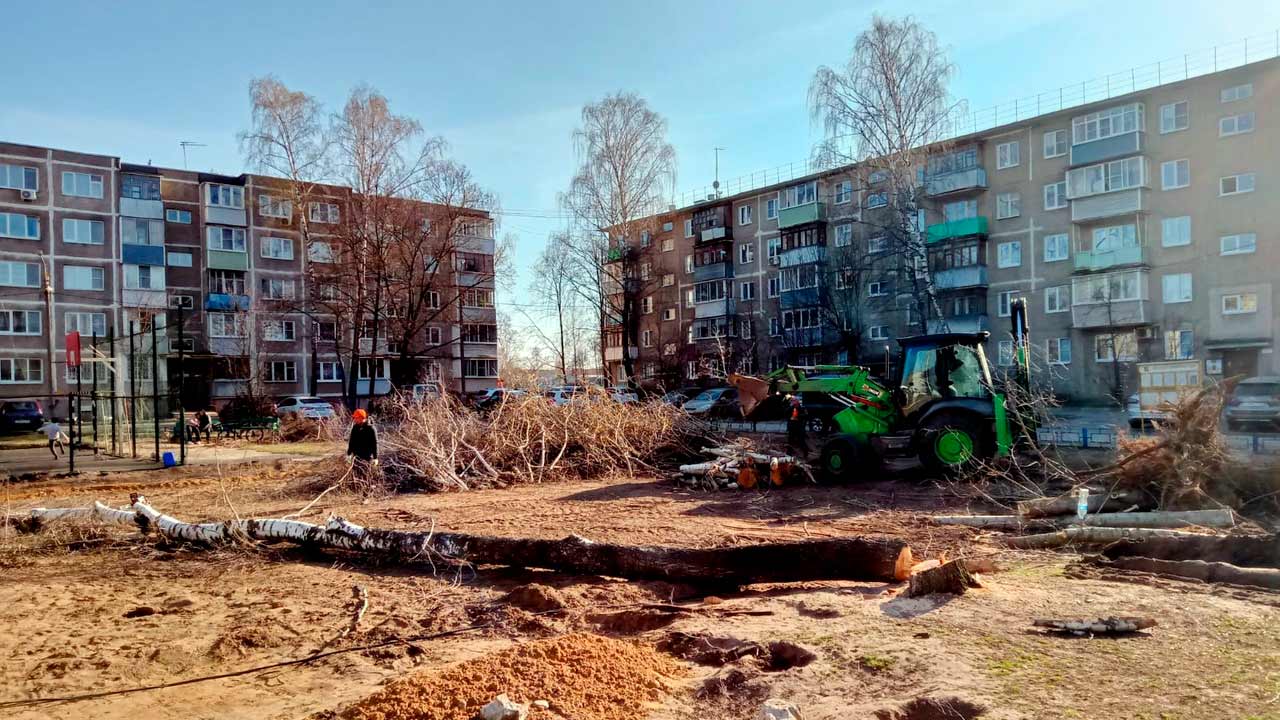 ПОСТРАДАЛА ОДНА БЕРЁЗА – Альтернативная газета